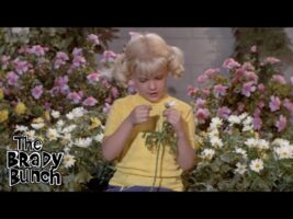 Who Will Cindy Invite to Her School Play?