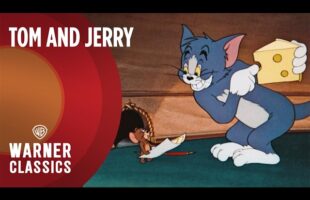 Tom and Jerry | Mega Compilation | Vol. 12 | Warner Classics